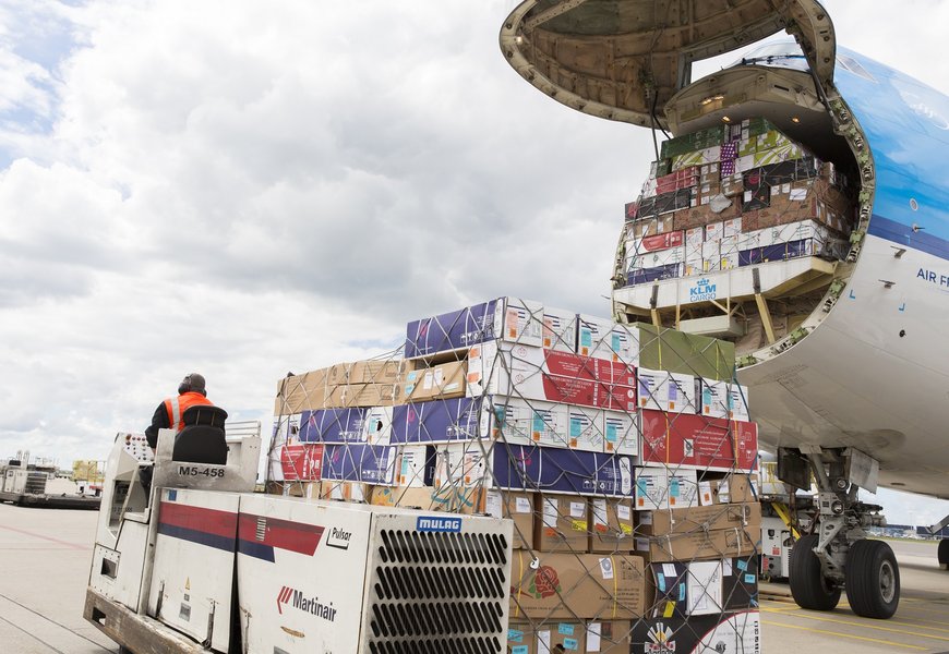 découvrez les services air france cargo pour le transport de marchandises et le déménagement. profitez d'une expertise unique, d'une logistique efficace et d'un réseau mondial pour accompagner vos projets de transport en toute sérénité.