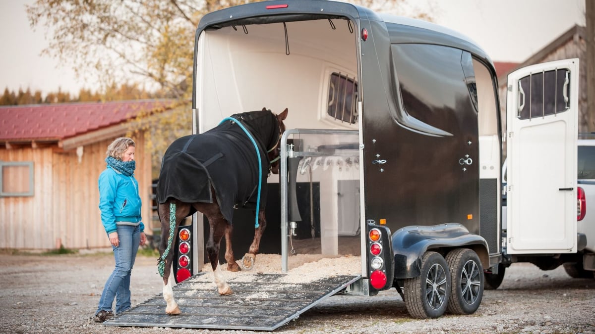 découvrez des conseils pratiques pour le transport de chevaux en toute sécurité. que vous soyez propriétaire de chevaux ou professionnel, apprenez les meilleures pratiques pour assurer le bien-être de vos animaux lors des déplacements.