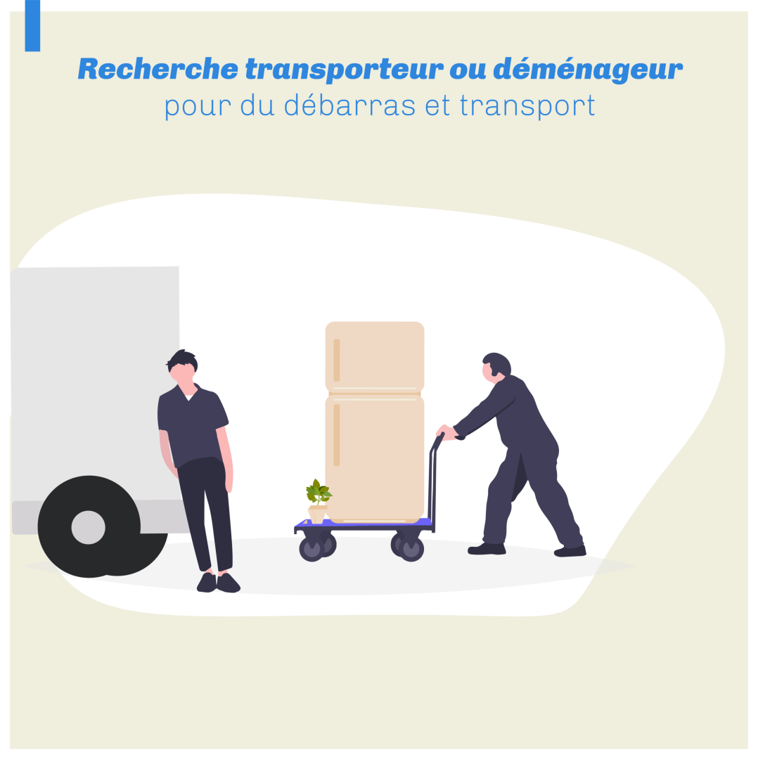 trouvez le transporteur idéal pour vos besoins de transport. comparez les offres, bénéficiez de services fiables et optimisez vos expéditions grâce à des solutions adaptées à vos exigences.