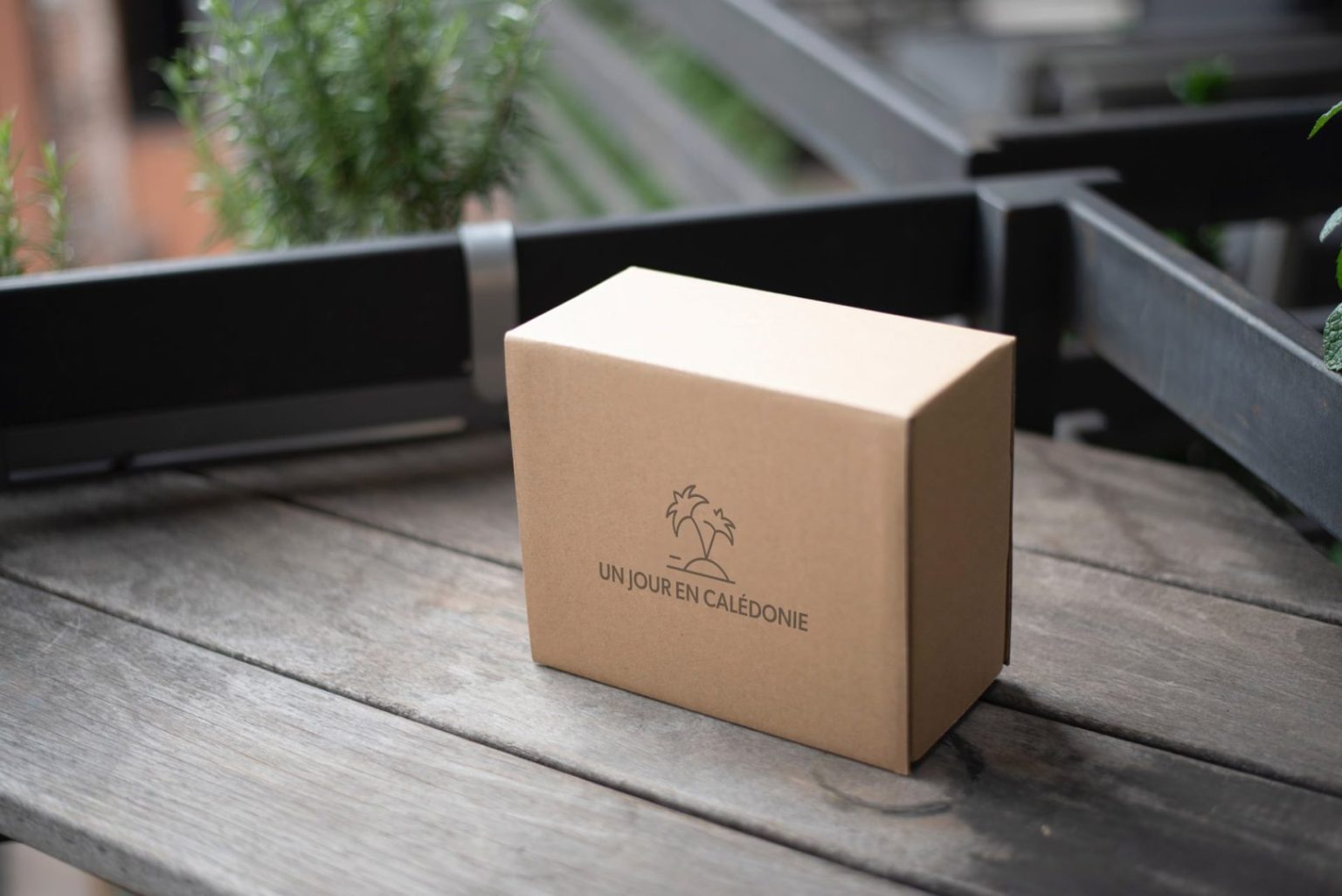 📦 ️ Guide Pratique Envoyer un Colis Facilement par la Poste en France!