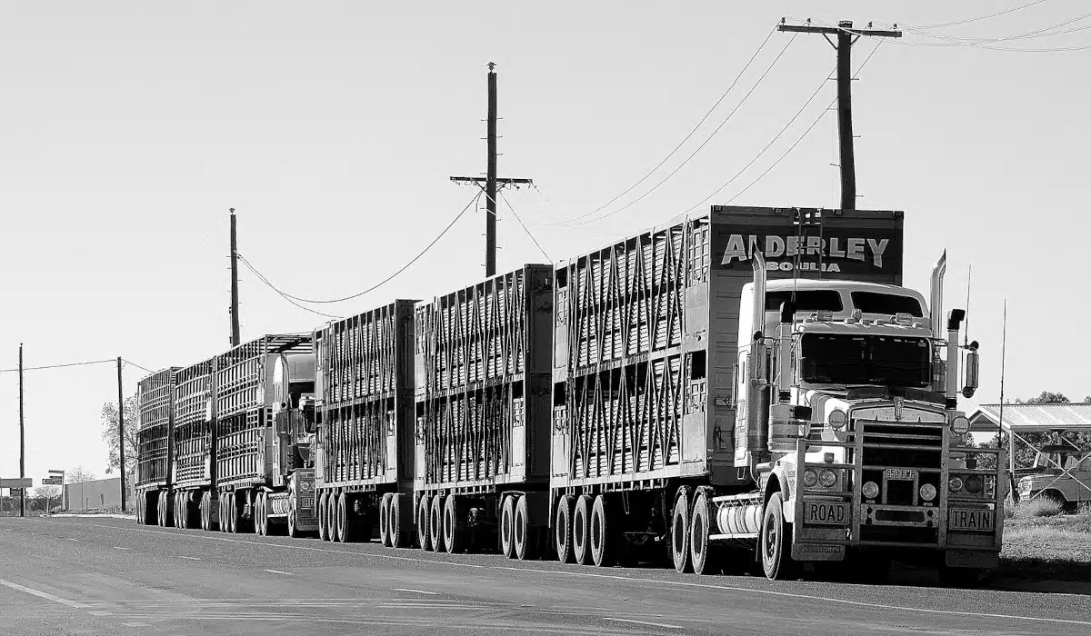 découvrez tout sur le salaire des professionnels du transport de marchandises : rémunérations, facteurs influençant les salaires et perspectives d'évolution de carrière dans ce secteur dynamique.