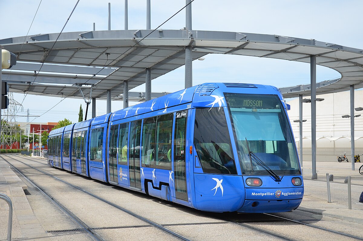 découvrez le tram vers palavas, une façon pratique et agréable de rejoindre cette charmante station balnéaire. profitez d'un trajet panoramique le long de la côte, idéel pour les familles, les couples et les amis. ne manquez pas cette expérience unique !