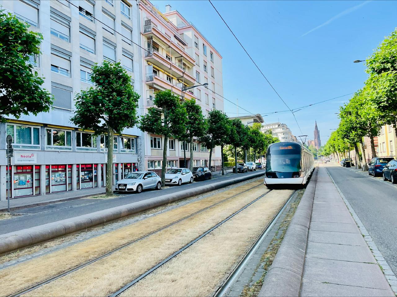 découvrez nos services de transport entre nice et strasbourg, alliant confort et rapidité. réservez dès maintenant pour un voyage agréable entre ces deux villes emblématiques de france.