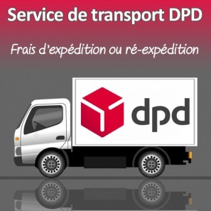 découvrez comment effectuer un paiement sécurisé avec dpd. suivez nos étapes simples pour profiter d'une expérience de livraison sans souci.