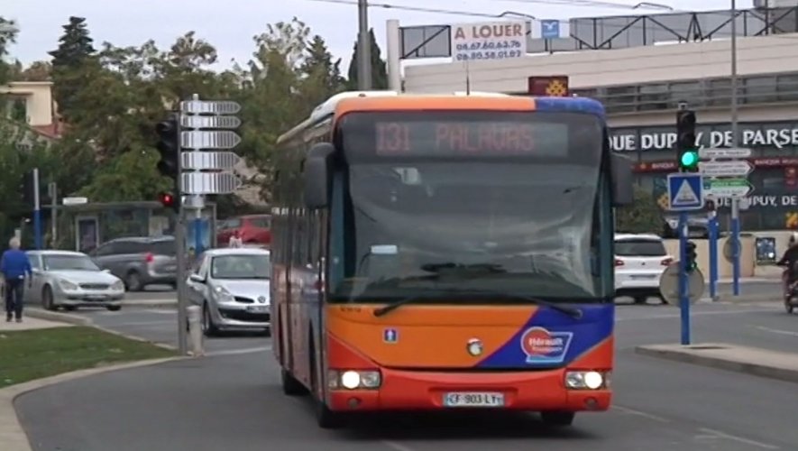 découvrez les options de transports en bus à palavas-les-flots, une solution pratique et économique pour explorer cette charmante station balnéaire. informations sur les lignes, horaires et services disponibles.