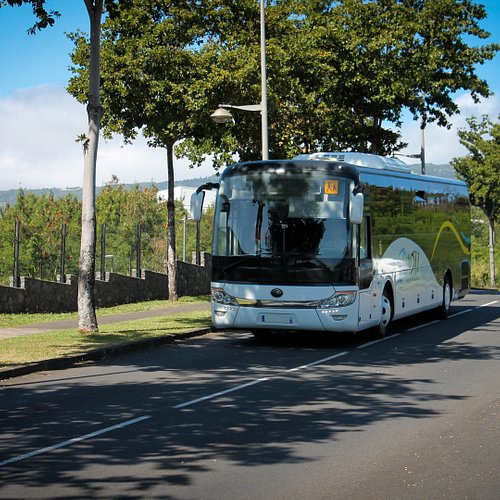 découvrez les services de transport à saint-denis : bus, tramway, et solutions de mobilité pour faciliter vos déplacements au cœur de la ville. profitez d'un réseau accessible et pratique pour explorer saint-denis et ses alentours.