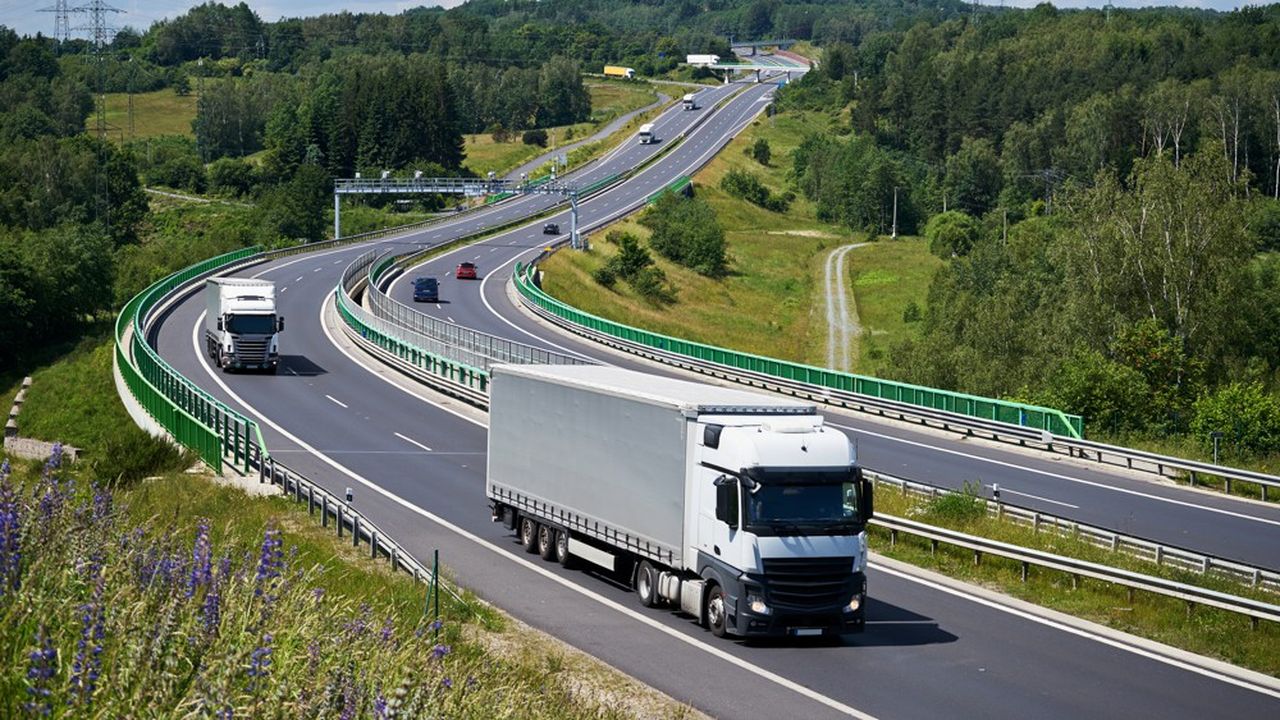 découvrez les différents types de poids lourds, leurs caractéristiques, utilités et spécificités techniques. que ce soit pour le transport de marchandises, la construction ou la logistique, apprenez tout sur ces véhicules essentiels au secteur du transport.