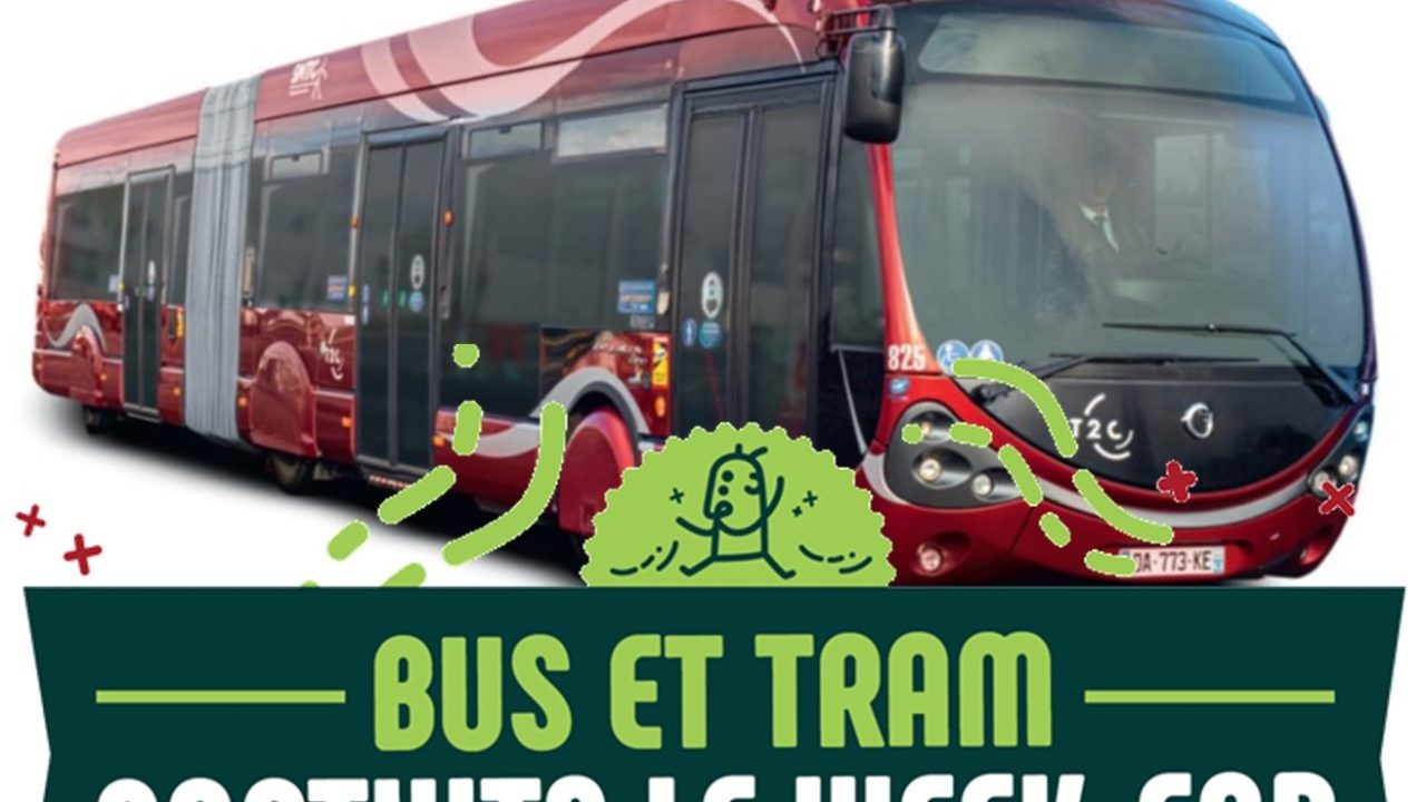 découvrez les solutions de transports durables proposées par giraud, alliant innovation et respect de l'environnement. engagez-vous pour un avenir plus vert avec nos services écologiques adaptés à vos besoins.