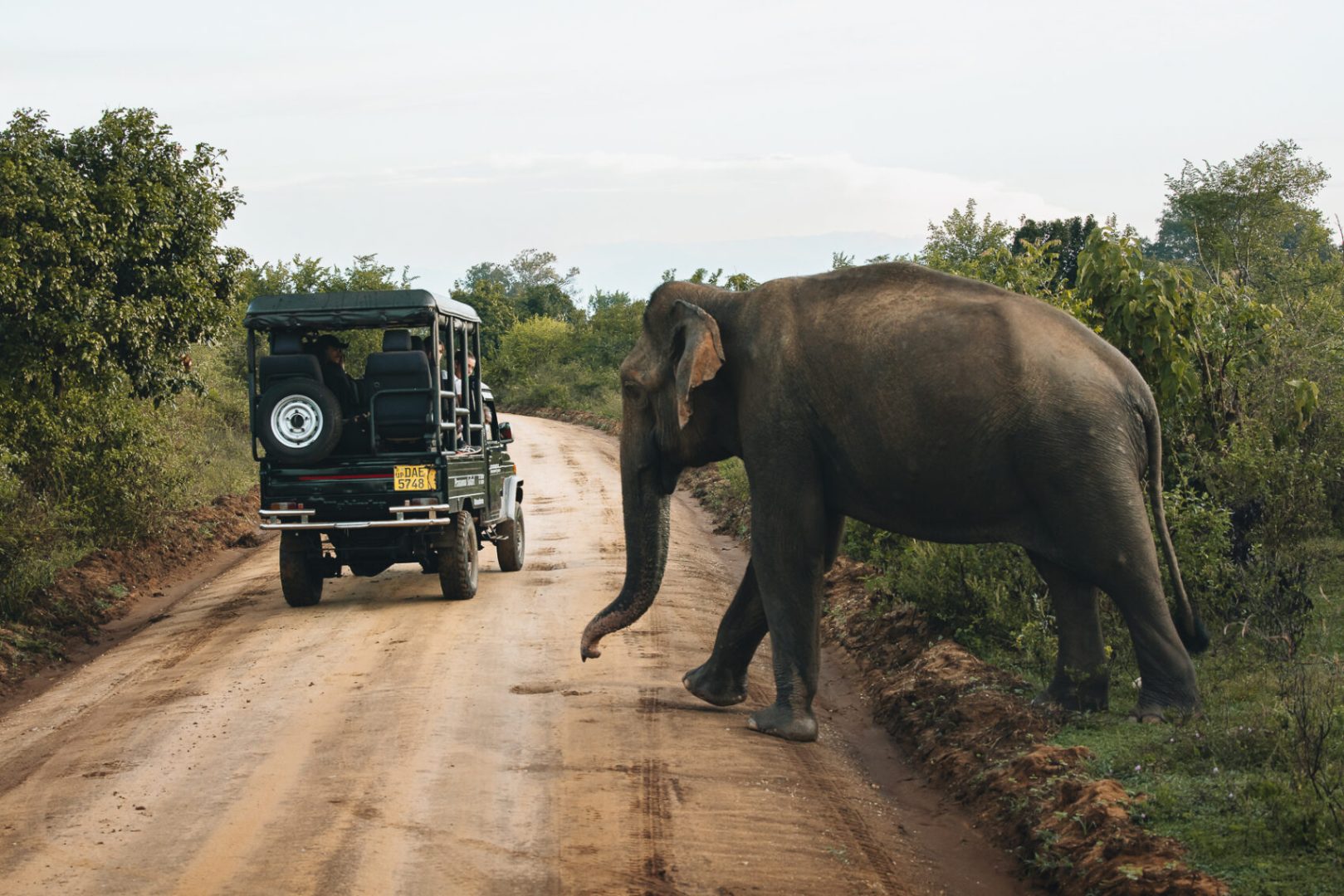 découvrez notre guide complet sur le budget transport voiture en afrique. apprenez à estimer les coûts de carburant, d'entretien et d'assurance pour voyager efficacement à travers le continent, tout en optimisant vos dépenses.