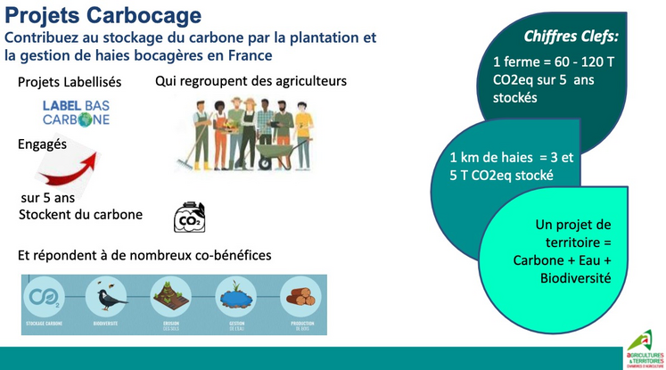 découvrez notre guide complet sur les charges supérieures à 3,5 tonnes. informez-vous sur la réglementation, l'équipement nécessaire et les meilleures pratiques pour le transport professionnel. idéal pour les entreprises de logistique et de transport qui souhaitent optimiser leurs opérations et garantir la conformité.