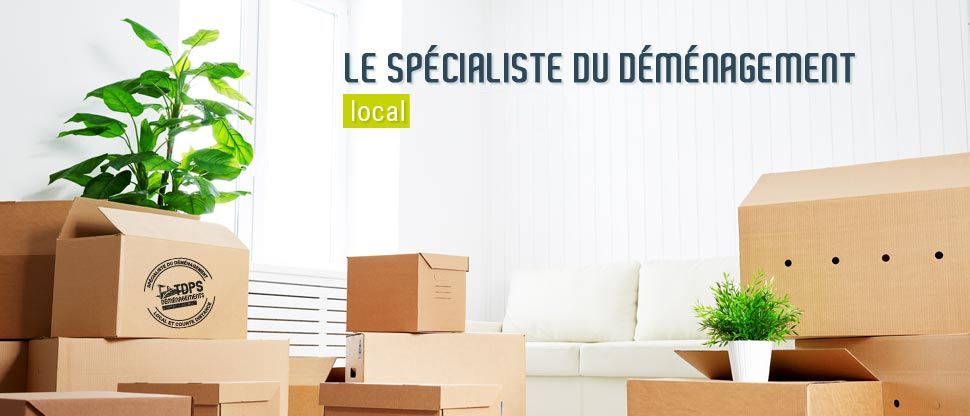 découvrez notre service de colis sécurisé pour un déménagement sans souci. protégez vos biens avec des solutions d'emballage robustes et fiables, garantissant une livraison en toute sécurité. préparez votre déménagement en toute sérénité grâce à notre expertise.