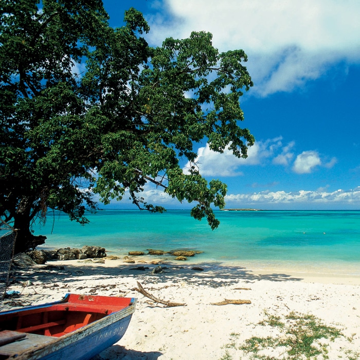 découvrez les tarifs compétitifs pour votre déménagement en guadeloupe. obtenez des conseils, des astuces et des devis personnalisés pour un déménagement sans stress sur cette île paradisiaque.