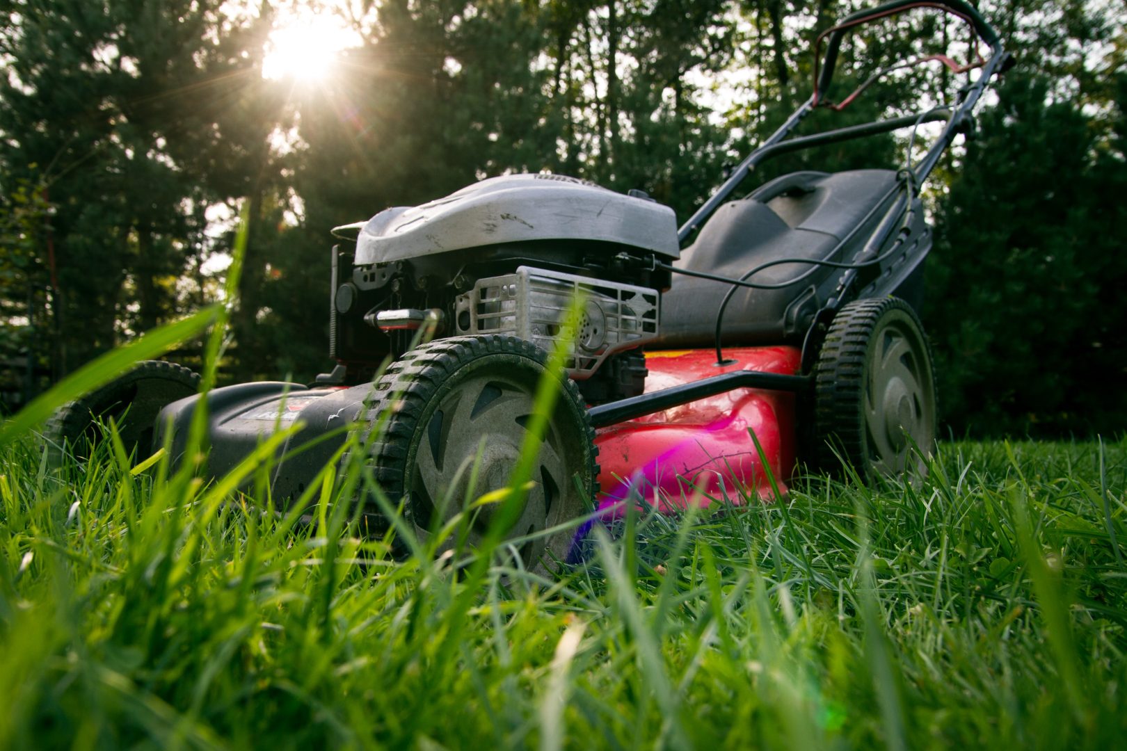 découvrez nos services de déménagement spécialisés pour tondeuses, garantissant un transport sécurisé et efficace de votre équipement de jardin. profitez d'une logistique adaptée et d'une équipe professionnelle pour un déménagement sans stress.