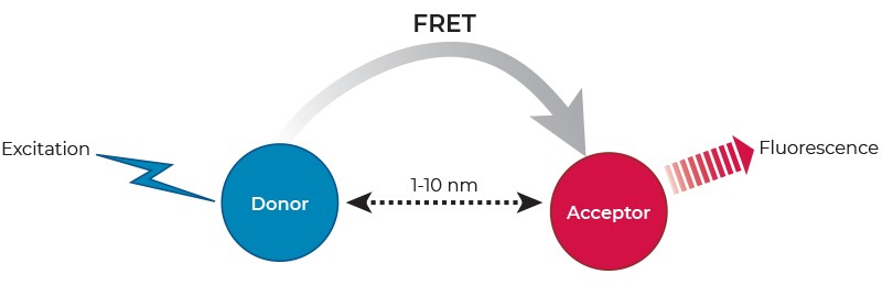 découvrez tout ce que vous devez savoir sur le fret : définition, types de fret, solutions de transport et conseils pour optimiser vos envois. accédez à une logistique efficace et maîtrisez les enjeux du fret pour votre entreprise.