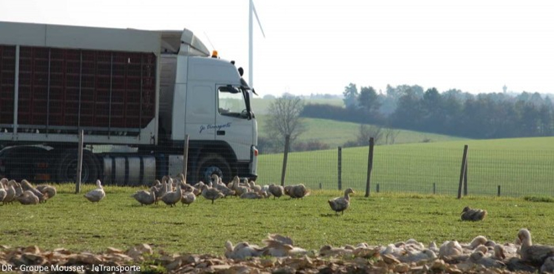 découvrez les différences clés entre intégrateur et transporteur dans le secteur de la logistique. apprenez comment ces deux acteurs jouent des rôles distincts et complémentaires dans la chaîne d'approvisionnement, et trouvez celui qui répond le mieux à vos besoins.