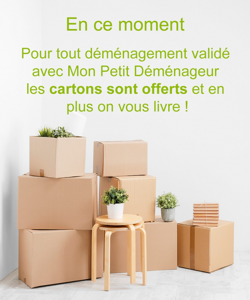 découvrez les prix de déménagement en 2023 et bénéficiez d'informations précieuses pour planifier votre projet. comparez les tarifs des professionnels et choisissez l'option qui convient le mieux à votre budget et à vos besoins.