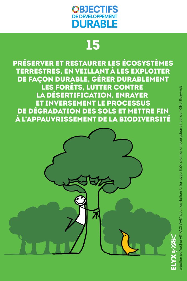 découvrez l'importance cruciale des écosystèmes pour la préservation de la biodiversité. explorez comment chaque élément interagit pour soutenir la vie sur terre et garantir un avenir durable.