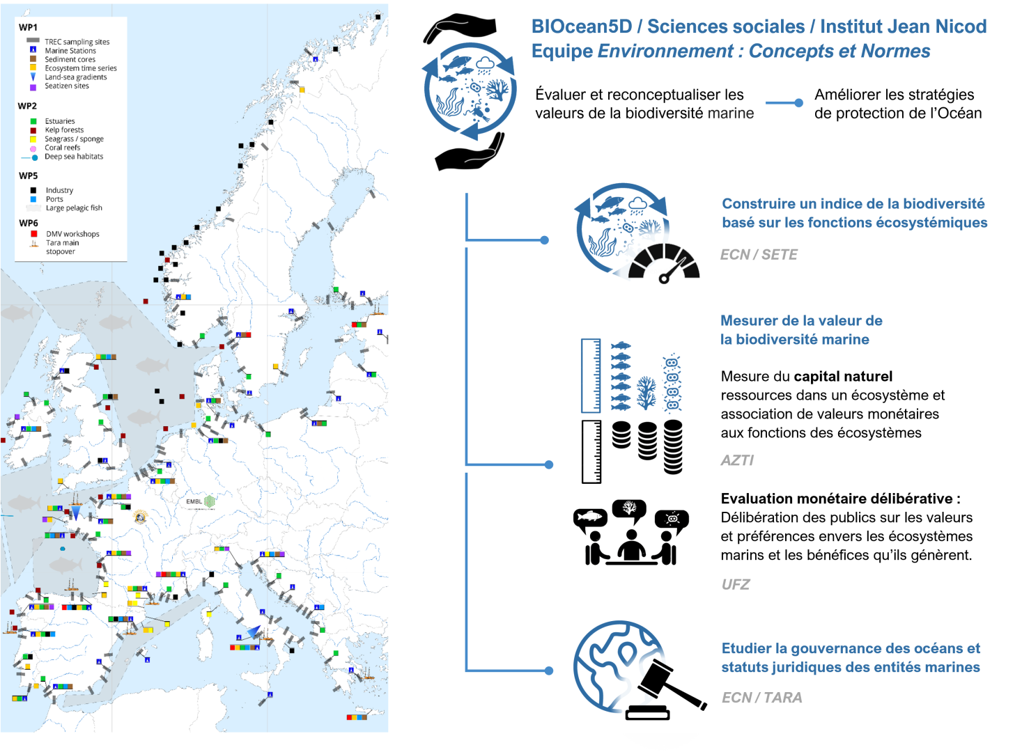 découvrez l'importance vitale des écosystèmes dans le maintien de la biodiversité. cette analyse met en lumière comment les interactions complexes entre les espèces et leur environnement favorisent la diversité biologique et soutiennent les services écosystémiques essentiels à la vie sur terre.