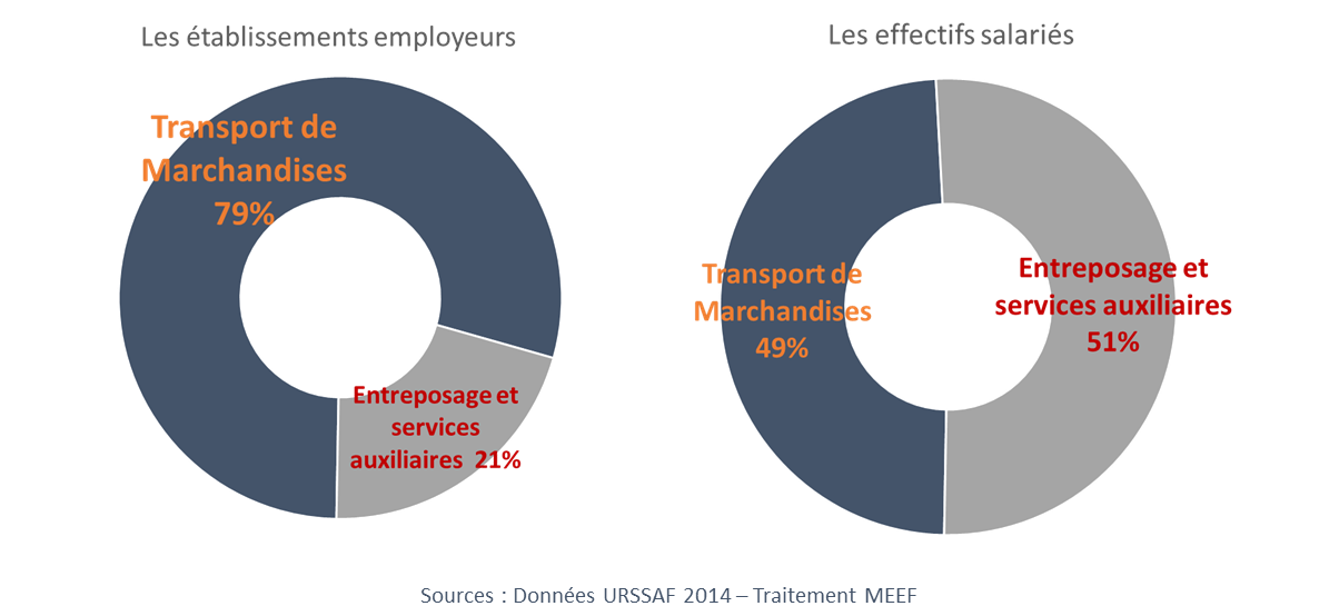 découvrez les dernières tendances et innovations dans le secteur du transport. informez-vous sur les nouvelles technologies, les enjeux écologiques et les perspectives d'évolution des modes de transport pour un avenir plus durable et efficace.