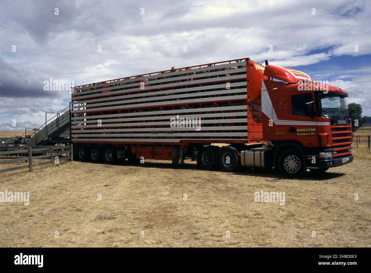 découvrez nos solutions de transport sécurisé et fiable pour vos moutons. que ce soit pour des déplacements locaux ou à longue distance, nous garantissons le bien-être de vos animaux tout au long du trajet.