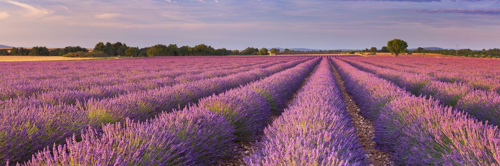 découvrez le transport idéal entre paris et toulon pour voyager confortablement et rapidement. que vous choisissiez le train, l'avion ou la voiture, profitez de conseils pratiques et d'options adaptées à vos besoins pour un trajet réussi.