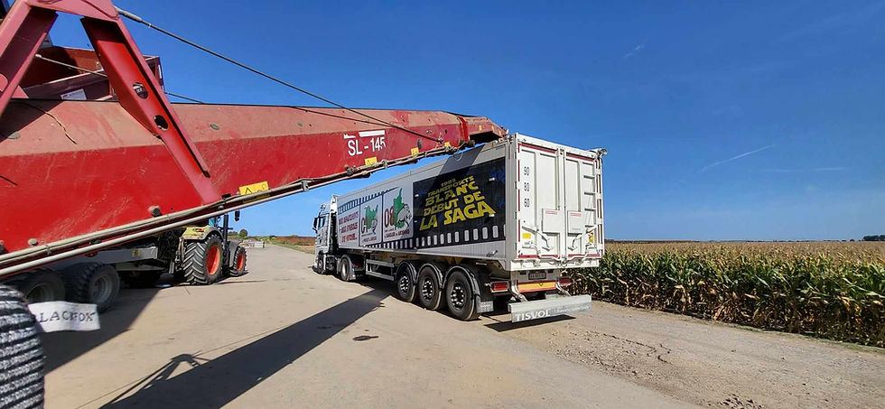 découvrez les services de transport routier à attignat pour des livraisons fiables et rapides. profitez d'un réseau optimisé et d'une expertise locale pour vos besoins logistiques.