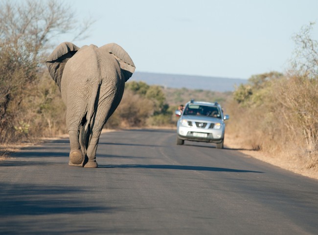 découvrez les tarifs compétitifs pour le transport de voitures en afrique. comparez les offres, trouvez les solutions adaptées à vos besoins et assurez un transport sécurisé de votre véhicule à travers le continent.