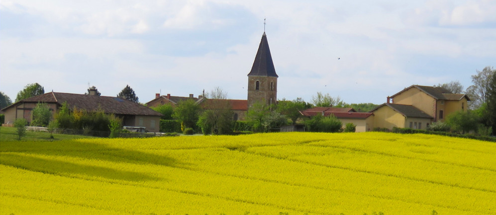 découvrez les services de transport de haute qualité à saint-genis. nos transporteurs fiables offrent des solutions adaptées à tous vos besoins logistiques, garantissant rapidité et sécurité pour vos marchandises.