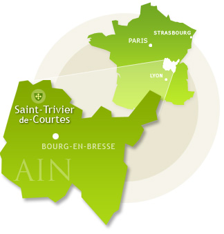 découvrez nos services de transport à saint-trivier, offrant des solutions fiables et adaptées à vos besoins logistiques. notre équipe de transporteurs professionnels garantit un service rapide et sécurisé pour tous vos envois.