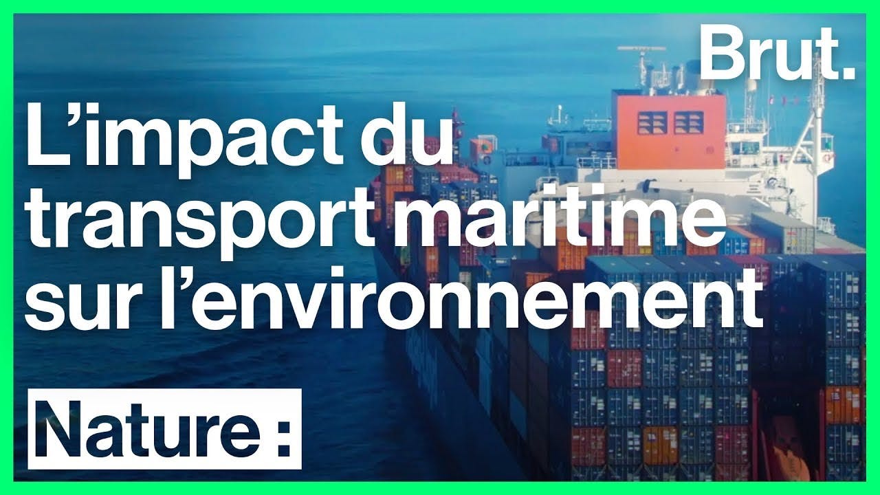 découvrez comment le transport impacte notre environnement et les solutions durables pour réduire notre empreinte carbone. explorez les innovations et les initiatives visant à promouvoir un transport responsable et respectueux de la planète.