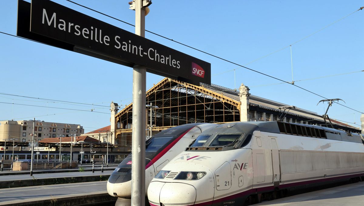 découvrez les différentes options de transport entre paris et marseille : train, avion, bus et covoiturage. comparez les prix, les temps de trajet et choisissez la solution qui vous convient le mieux pour un voyage confortable et rapide.